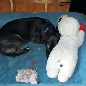 Meet your Posher, Robin